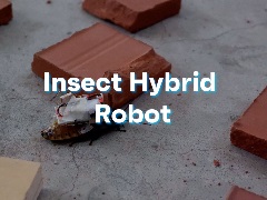 insect hybrid robot