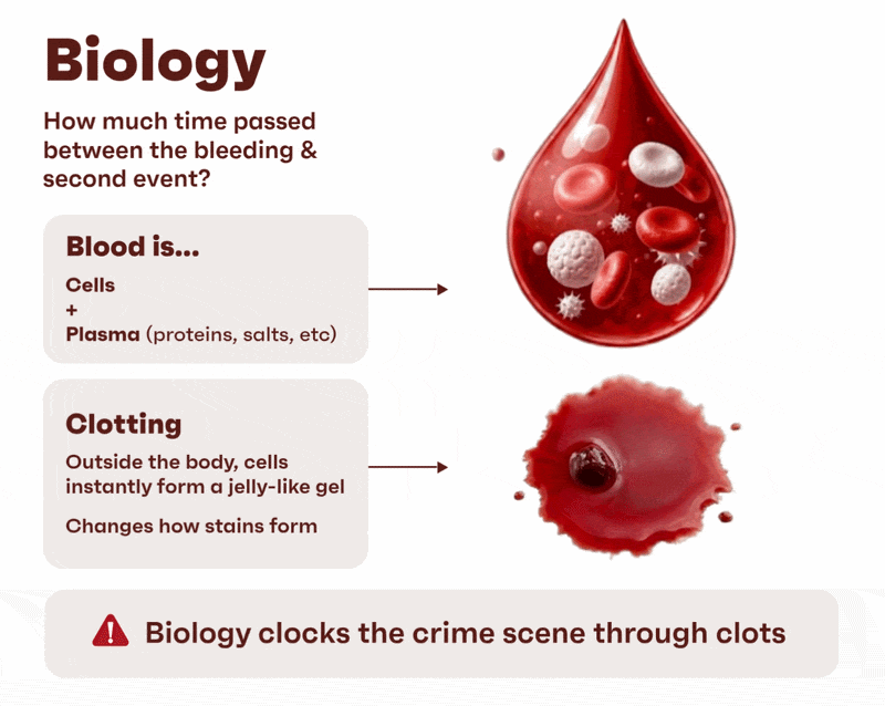 the science behind the stain
