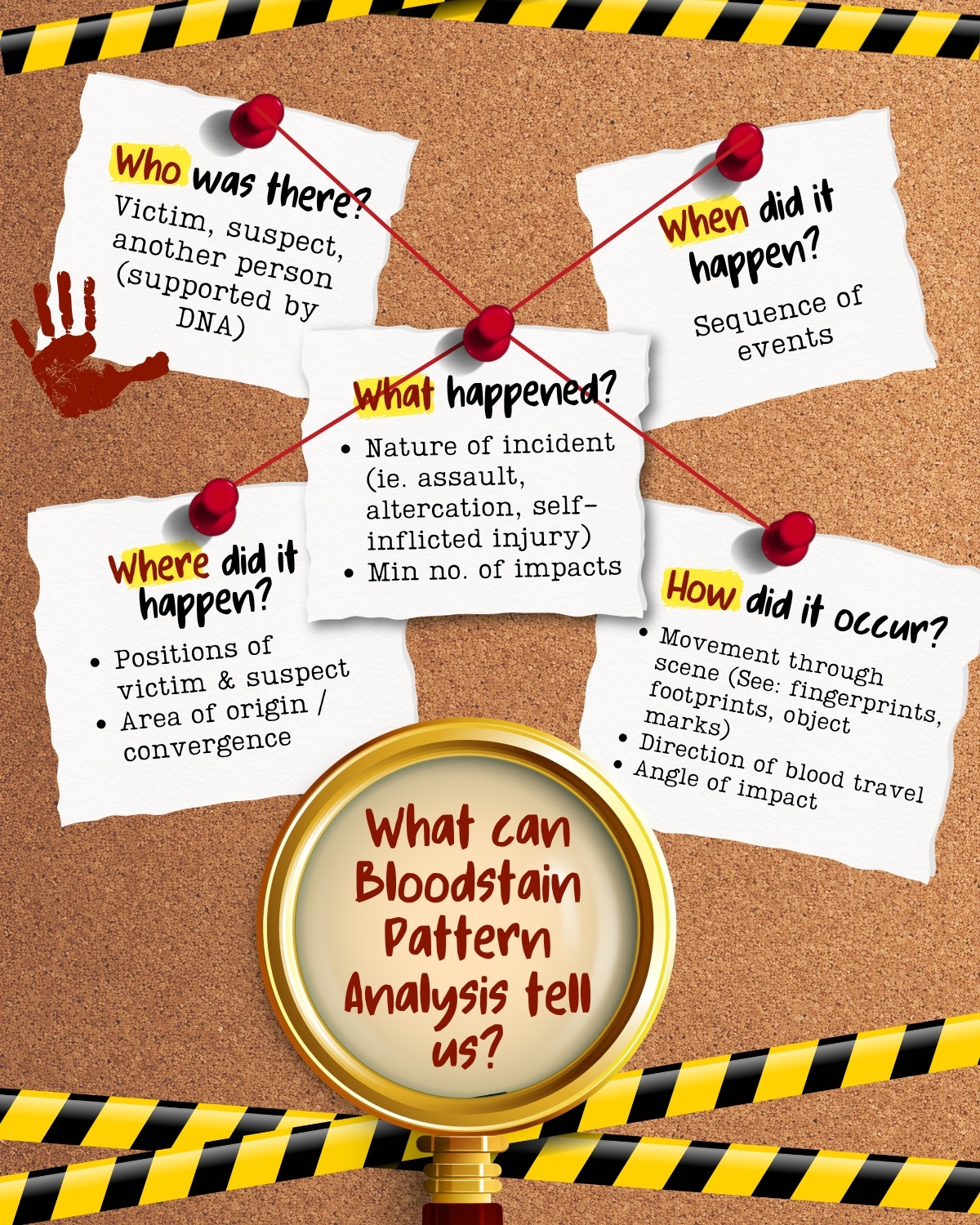 forensics Infographics