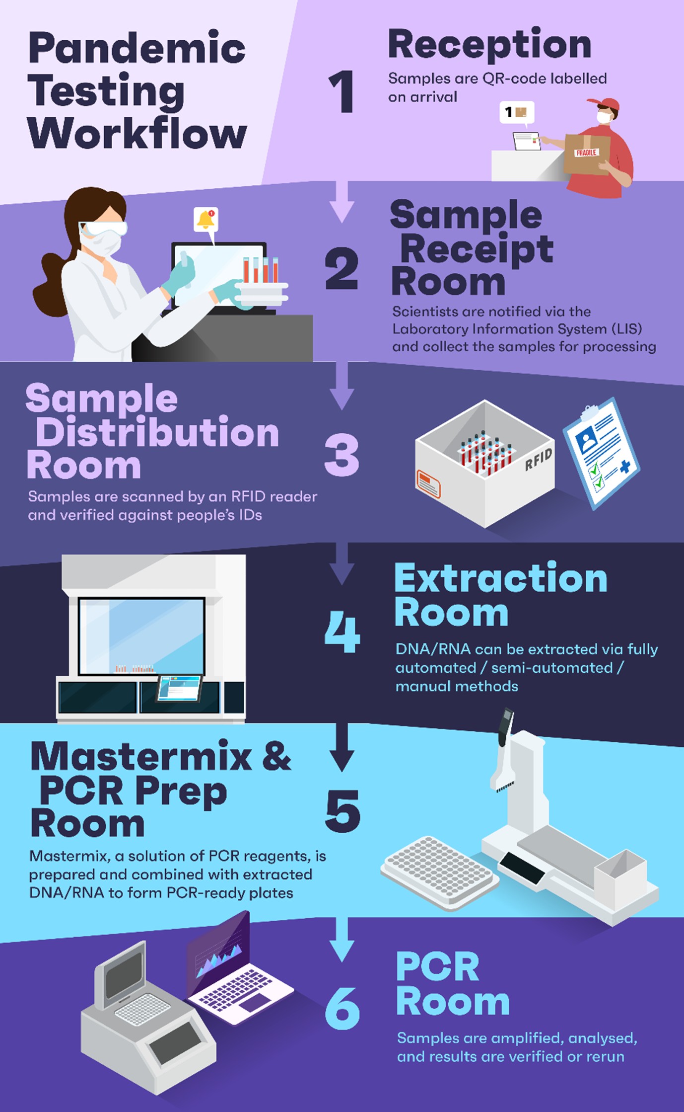 Infographic of a Pandemic Testing Workflow.