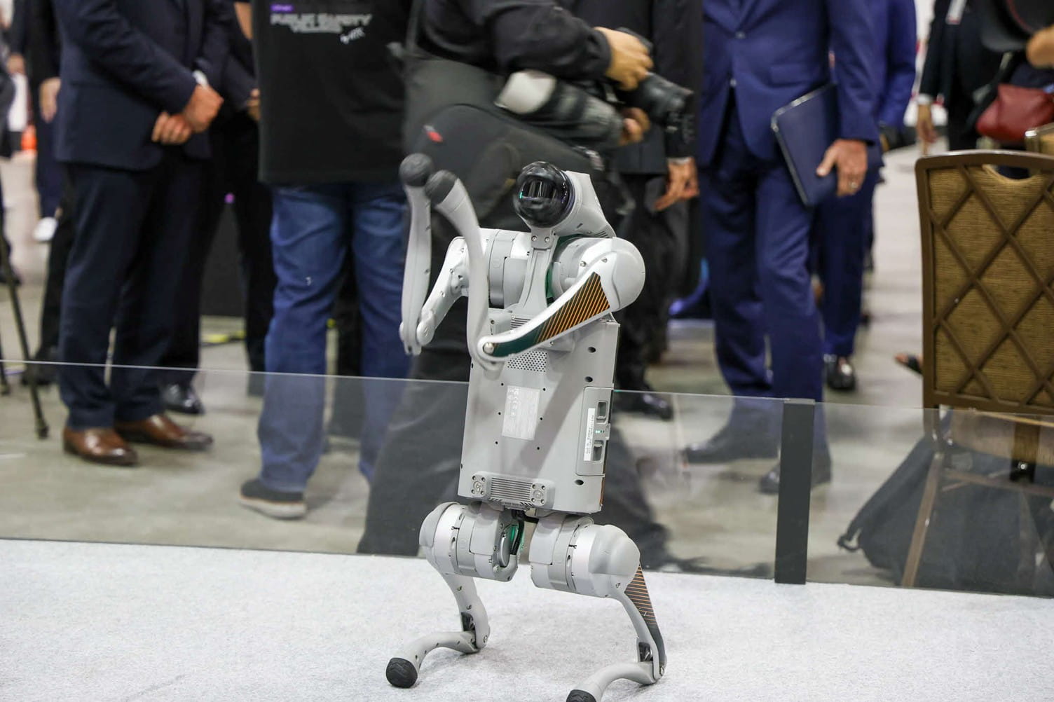 Robot dog performing a dynamic pose.